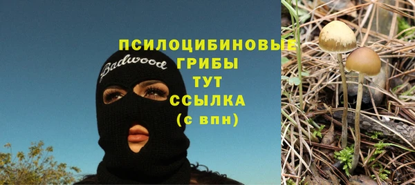 сатива Михайловка