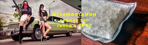 сатива Михайловка