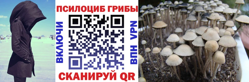 Псилоцибиновые грибы ЛСД  mega онион  Надым 