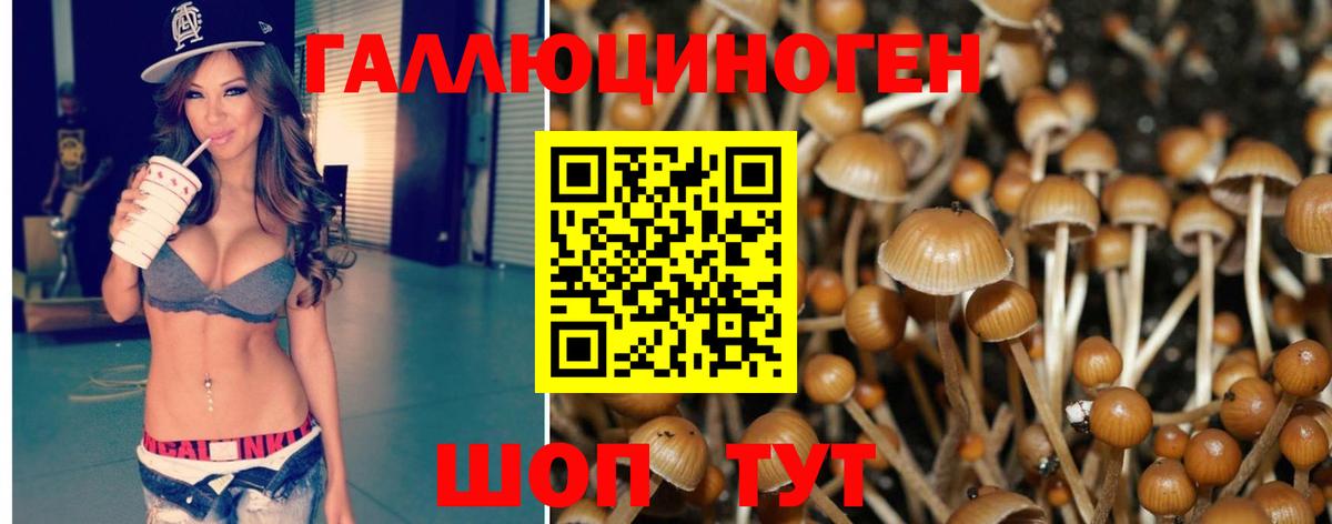 Надым  Галлюциногенные грибы Psilocybe  Вход с VPN  Псилоцибиновые грибы прущие грибы 